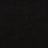 Char - cod 18009